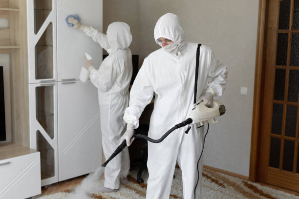 Professional Mold Remediation in Theodore, AL